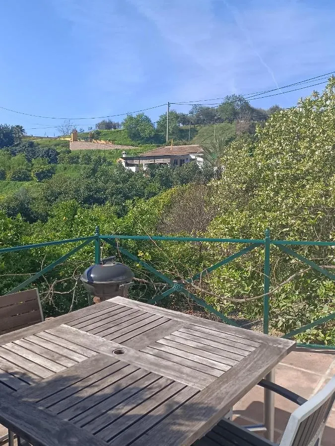 Casa Romana Coin 0*,